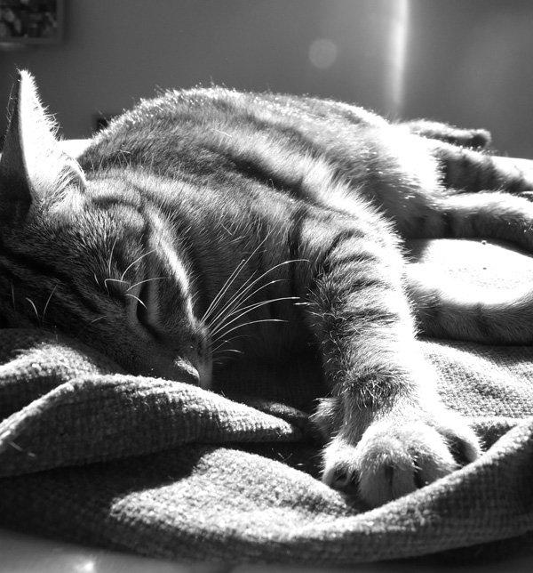 20120208143634_p1030984 20120208143634_p1030984