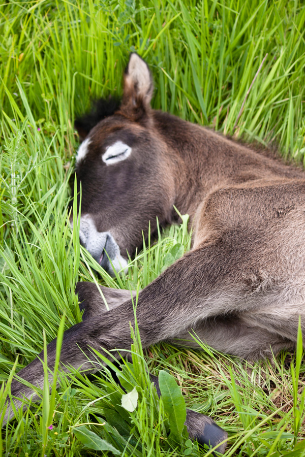 20120206115119_img_0984 20120206115119_img_0984