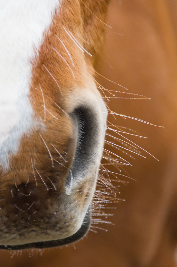 20120206121526_2012_01_31_0008 20120206121526_2012_01_31_0008