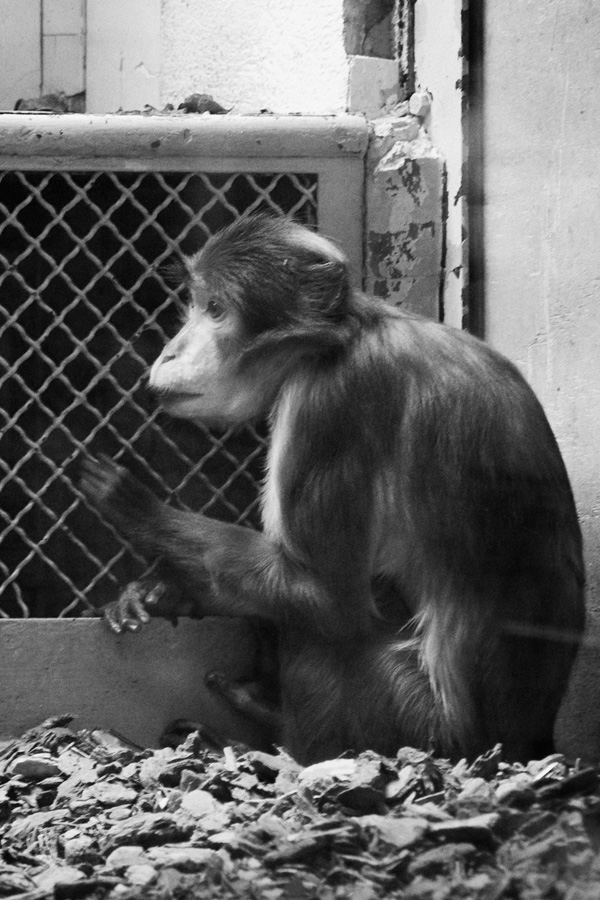 20120206150732_h_epaud 20120206150732_h_epaud