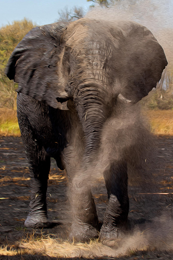 20120206200758_elephant_1 20120206200758_elephant_1