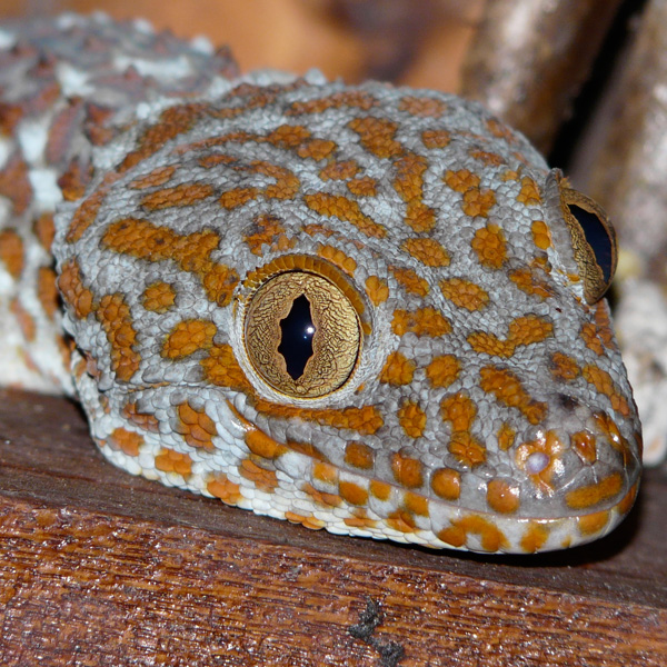 20120206222159_p1030089_1_2 20120206222159_p1030089_1_2