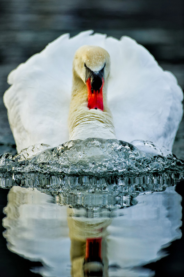 20120207215734_27012012__d3s5674_modifier 20120207215734_27012012__d3s5674_modifier