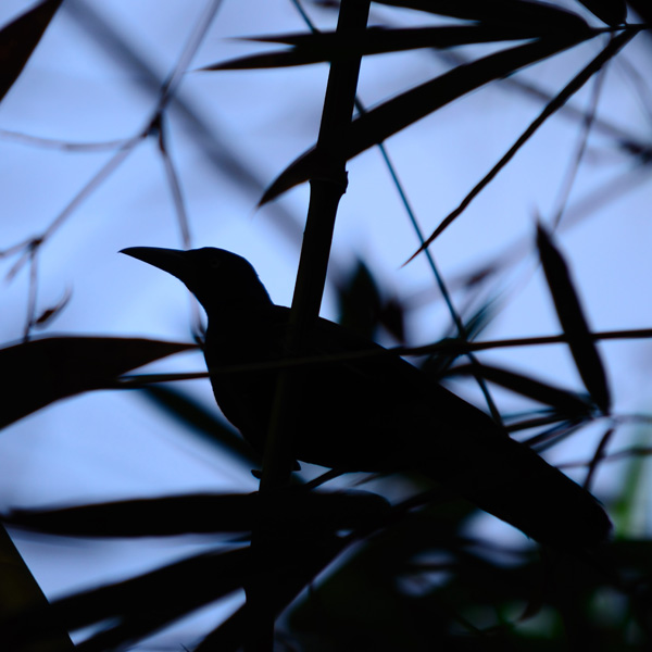 20120208134408_dsc_2848_01 20120208134408_dsc_2848_01