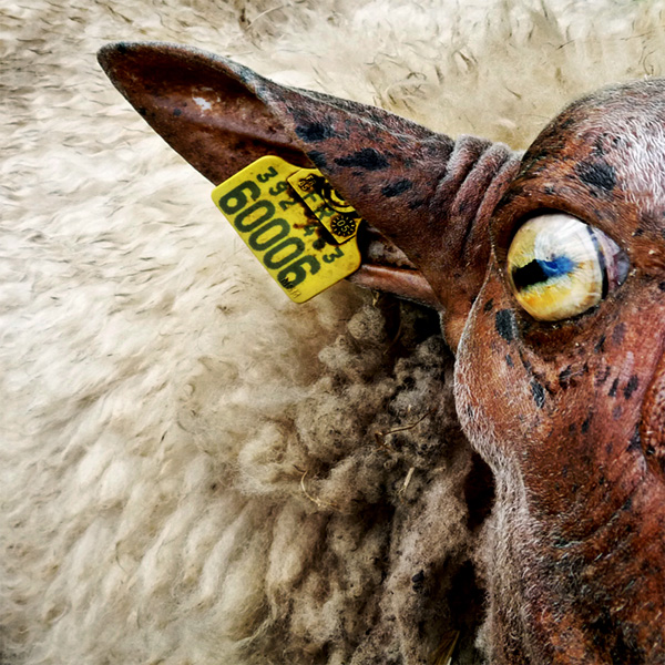 20120206104050_numero_90009 20120206104050_numero_90009