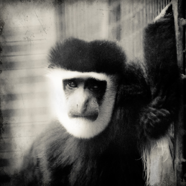 20120206133907__dsc8385_r 20120206133907__dsc8385_r