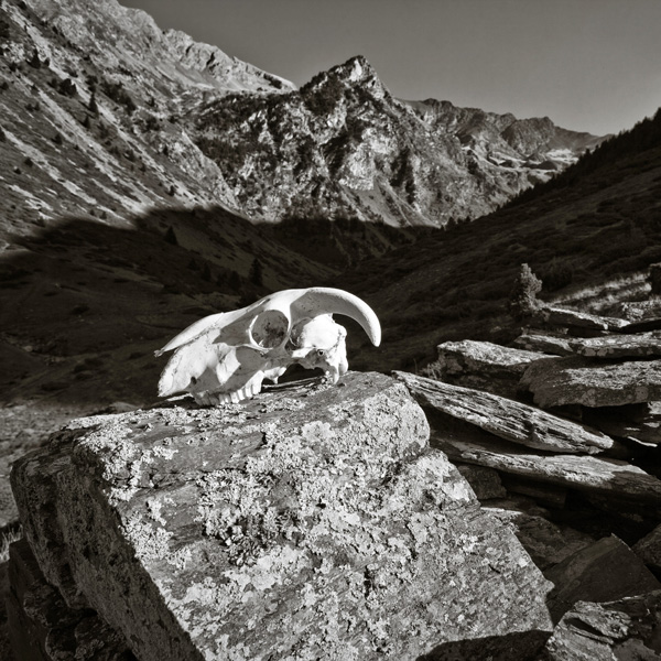 20120206144550_img_2278_dxo 20120206144550_img_2278_dxo