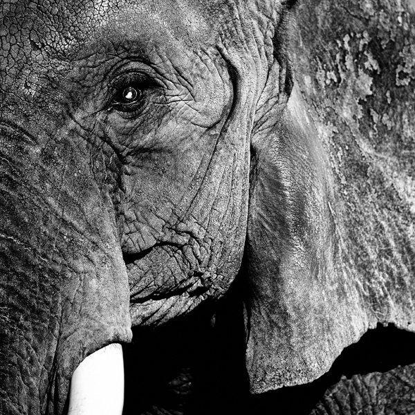 20120206145827_domsecher 20120206145827_domsecher