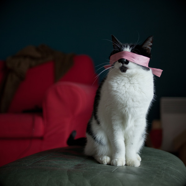 20120206173327_img_4743 20120206173327_img_4743