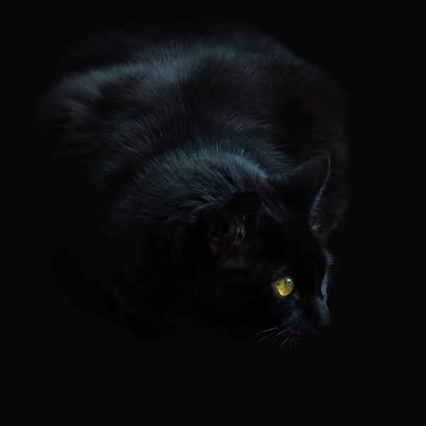 20120206222036__dsc6570aa 20120206222036__dsc6570aa