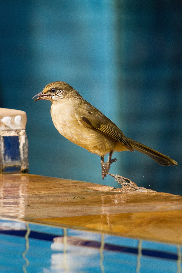 20120207150121_img_6918_modifier_3 20120207150121_img_6918_modifier_3