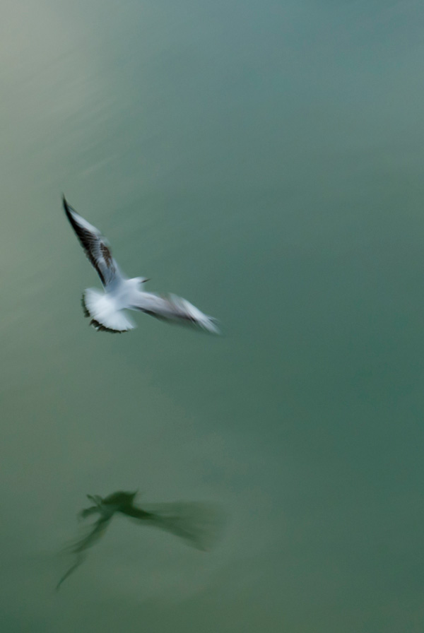 20120208170803__dsc5565 20120208170803__dsc5565