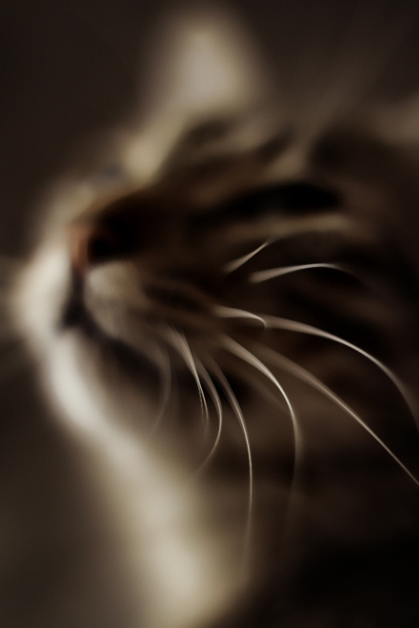 20120209145801_virg2o 20120209145801_virg2o