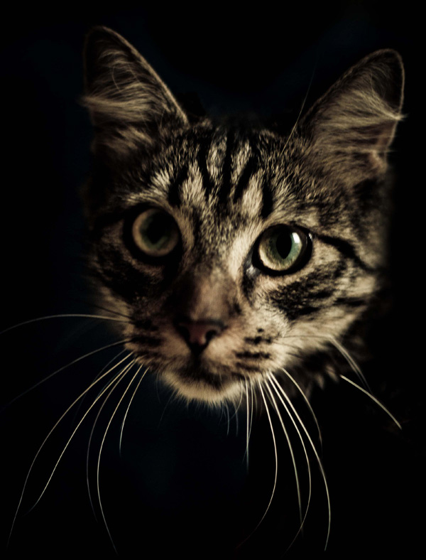 20120209160414_cisco 20120209160414_cisco