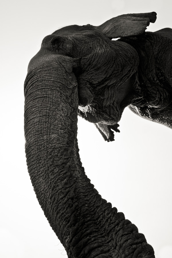 20120209195131__igp6352 20120209195131__igp6352