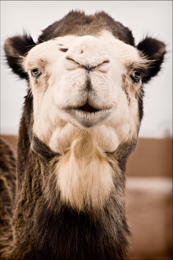 20120209081522_0283085concours 20120209081522_0283085concours