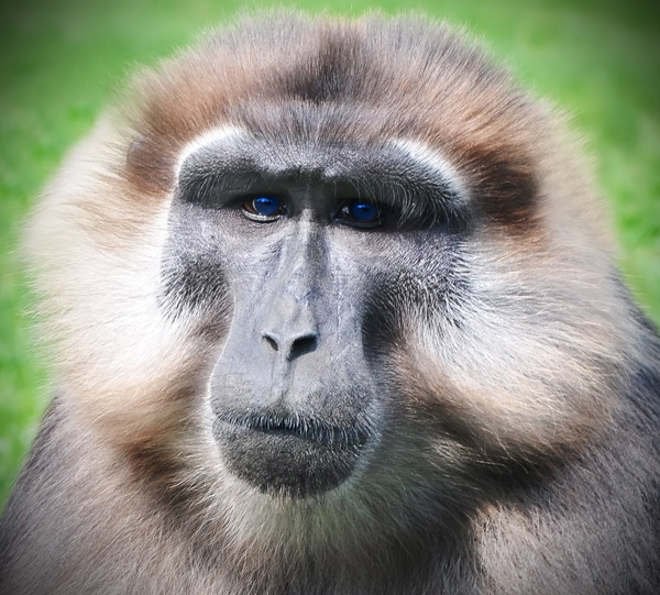 20120208234308_expo_originale_acte1 20120208234308_expo_originale_acte1