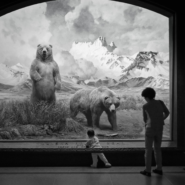 20120209231112_img_2603_dxo 20120209231112_img_2603_dxo