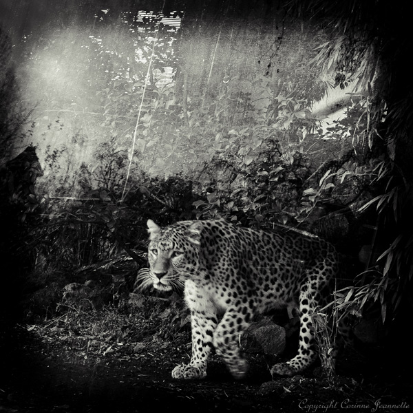 20120208221543_dscf1613_5 20120208221543_dscf1613_5