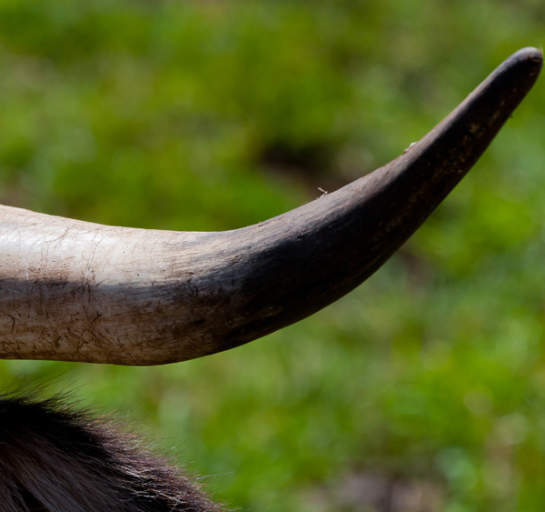 20120210170144_16082011_dsc_6972 20120210170144_16082011_dsc_6972