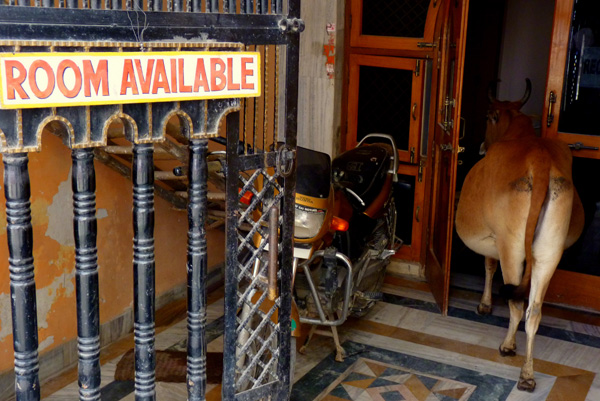 20120212174901_p1040339 20120212174901_p1040339