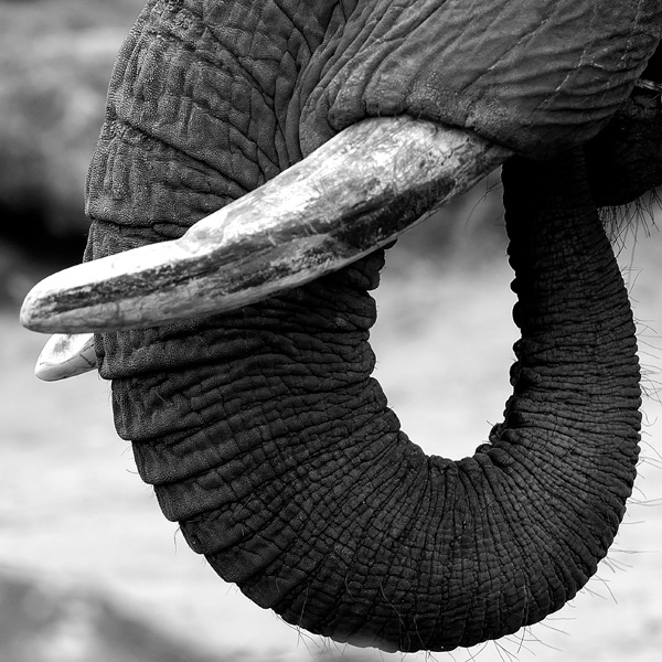 20120210095933_110206re__131r 20120210095933_110206re__131r