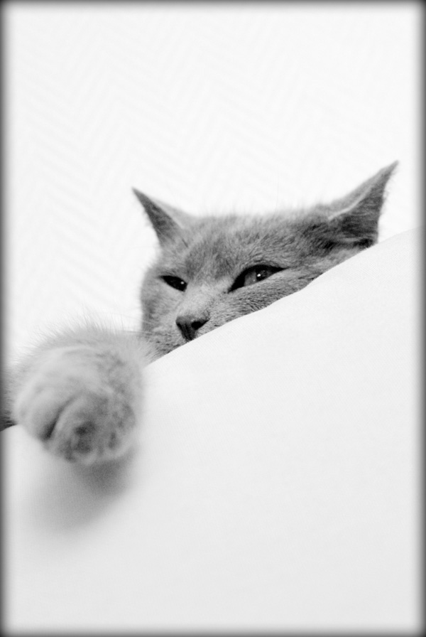 20120210103538_img_1335 20120210103538_img_1335