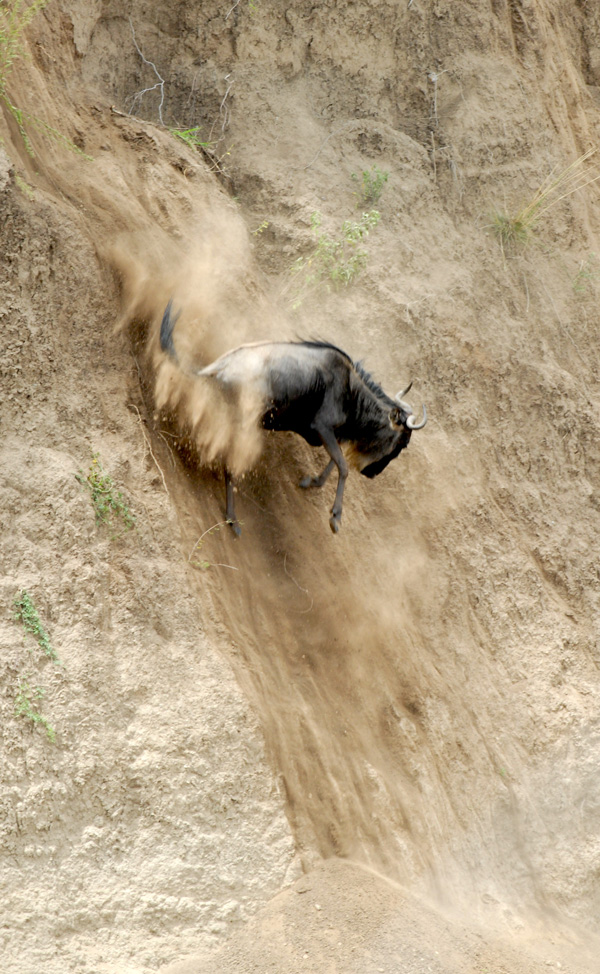 20120210105148_gnou_0327_2 20120210105148_gnou_0327_2