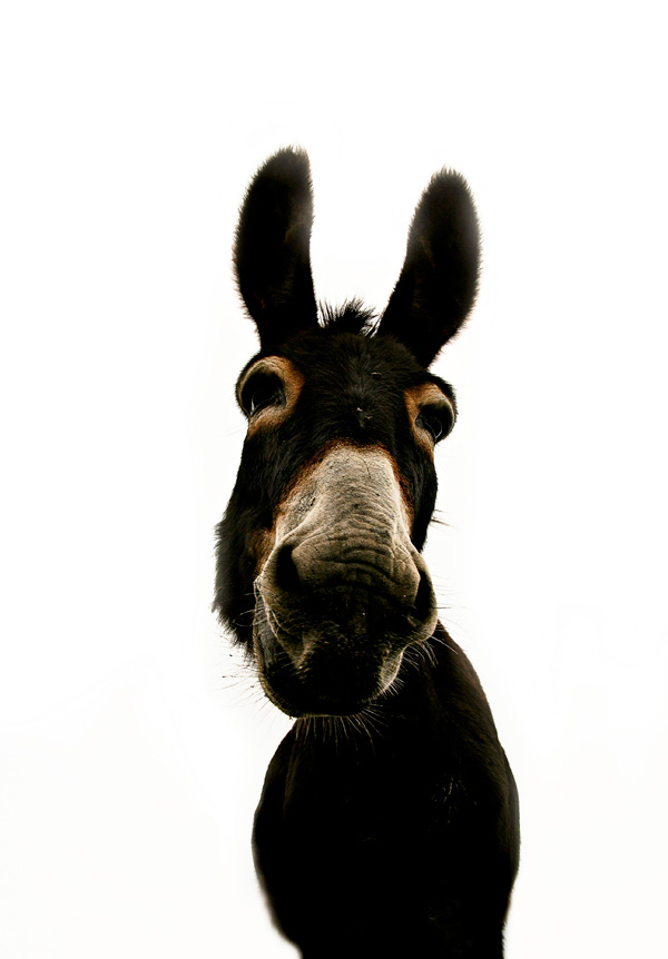 20120210135818_img_6968_2_2 20120210135818_img_6968_2_2