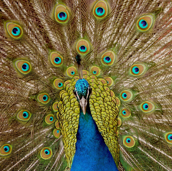 20120210185237_p1030466_aa 20120210185237_p1030466_aa