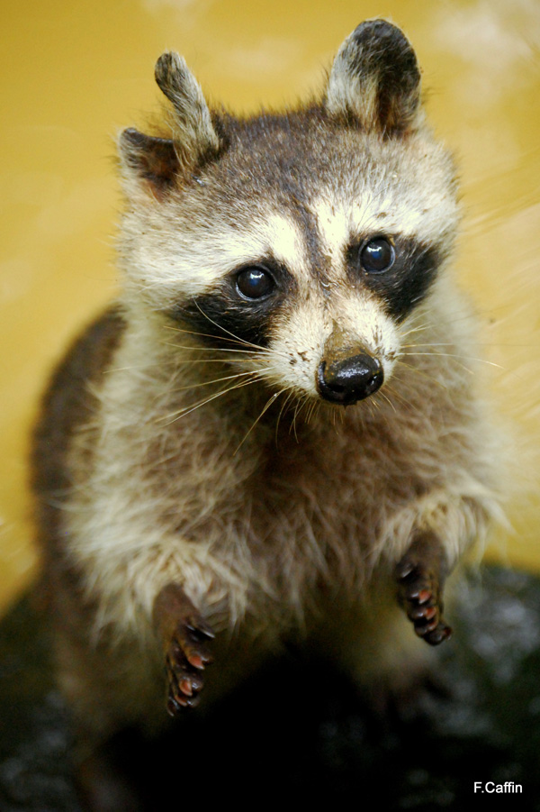 20120210221922_vac_935_2 20120210221922_vac_935_2