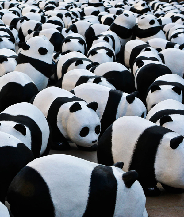 20120210222855_img_2148_2 20120210222855_img_2148_2