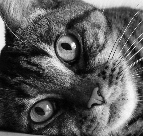 20120210232332_000_1669 20120210232332_000_1669