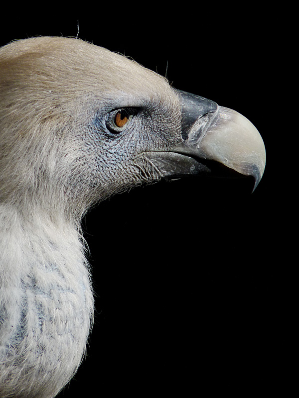 20120211085602_competence1 20120211085602_competence1