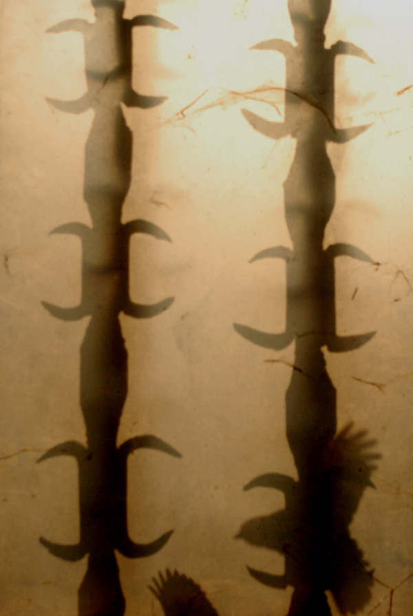 20120211143404_dsc_000222 20120211143404_dsc_000222