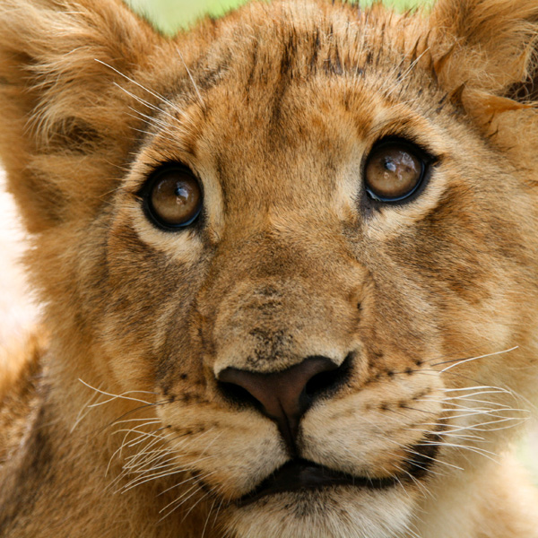 20120211144205_img_0945 20120211144205_img_0945