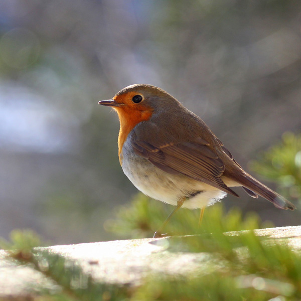 20120211234259_021mm 20120211234259_021mm