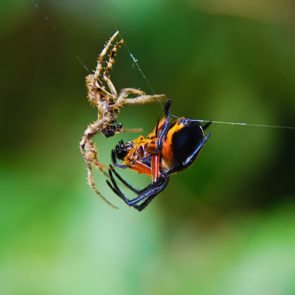 20120212080524_dsc_2048 20120212080524_dsc_2048