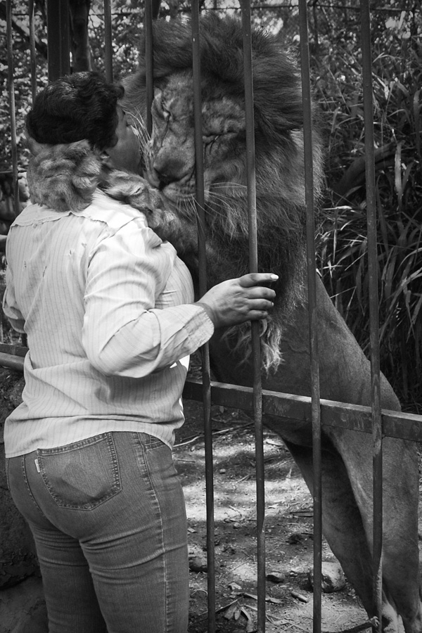 20120212101608_dsc_0503 20120212101608_dsc_0503