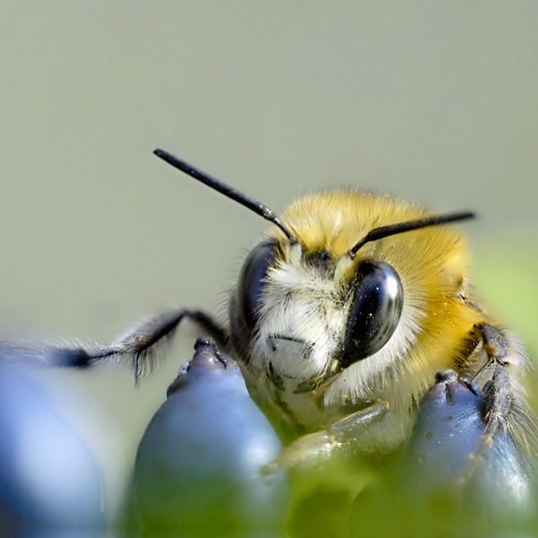 20120212103719_out99994_pwa 20120212103719_out99994_pwa