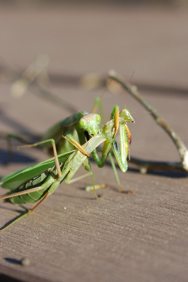 20120212141914_yann_riche_dsc_8802 20120212141914_yann_riche_dsc_8802