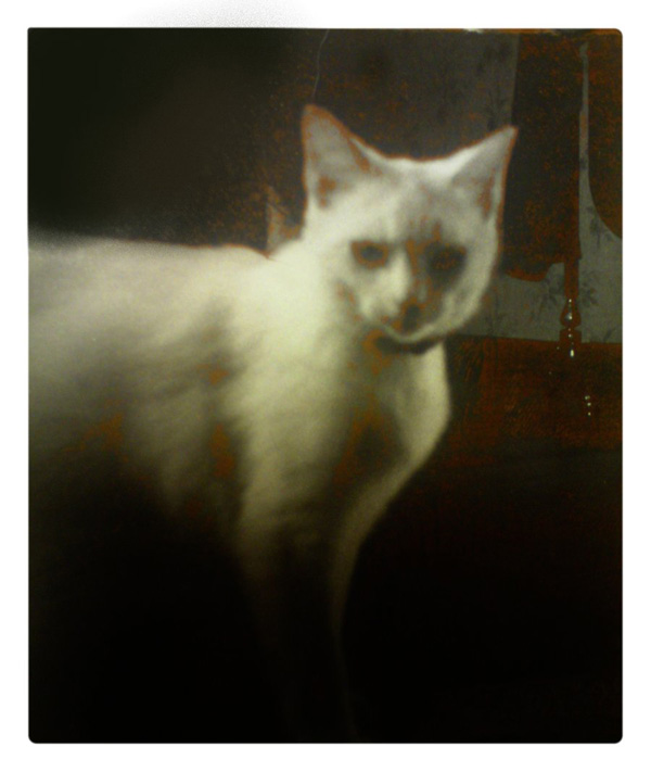 20120212182049_depuis_la_nuit 20120212182049_depuis_la_nuit