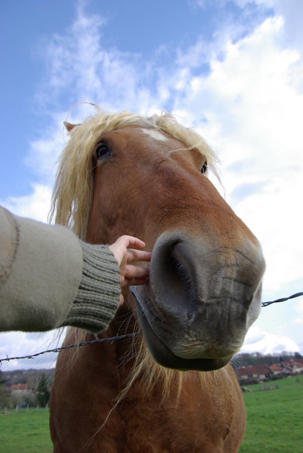 20120212185922_imgp1194 20120212185922_imgp1194