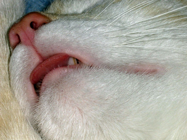 20120212192645_photo_297 20120212192645_photo_297