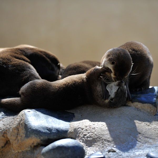 20120212201136__ycr0685 20120212201136__ycr0685