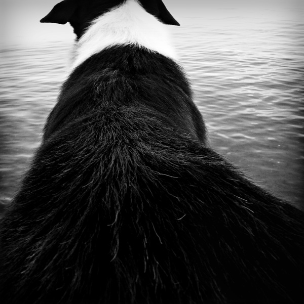 20120212204307_dsc02921_12 20120212204307_dsc02921_12