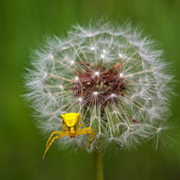 20120212210631_le_muy_macro_137 20120212210631_le_muy_macro_137