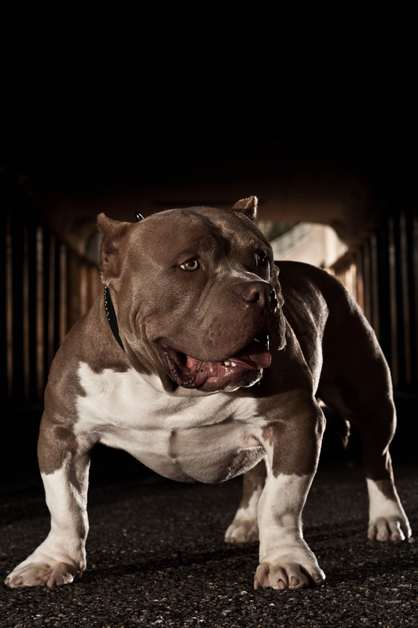 20120211233335_img_0122 20120211233335_img_0122