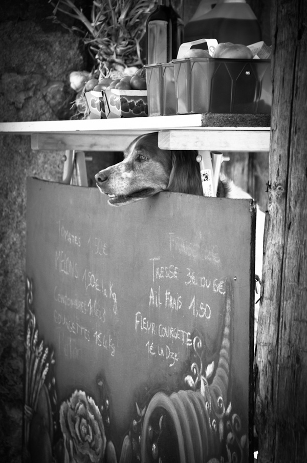 20120212105226_cb1_4523_2 20120212105226_cb1_4523_2