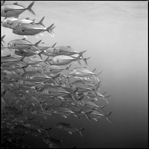 20120212195501_en_queue 20120212195501_en_queue